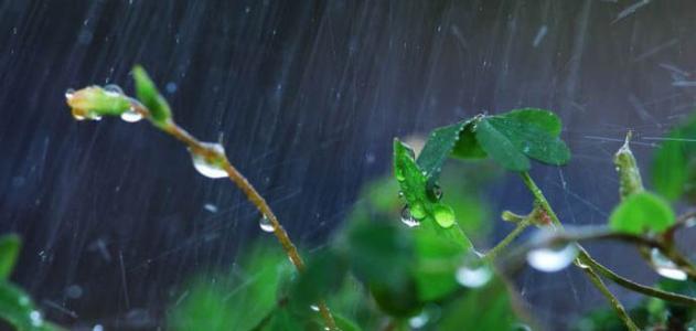 測(cè)定降雨量常用的儀器-雨量器和雨量計(jì)