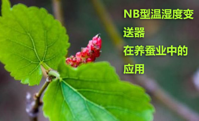 NB型溫濕度變送器在養(yǎng)蠶業(yè)中的應(yīng)用