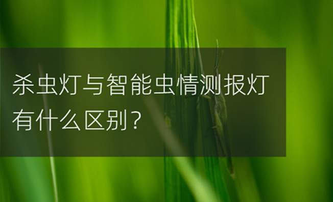 殺蟲燈和智能蟲情測(cè)報(bào)儀之間的區(qū)別？