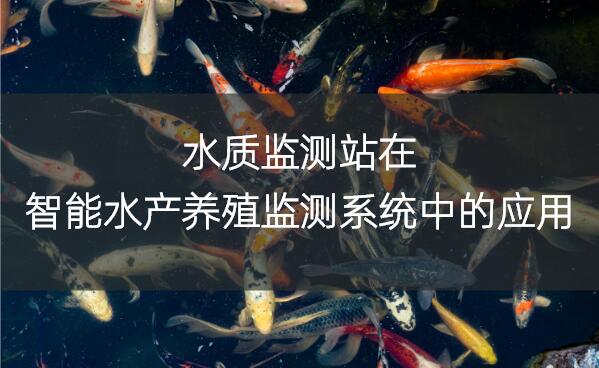 水質(zhì)監(jiān)測(cè)站在智能水產(chǎn)養(yǎng)殖監(jiān)測(cè)系統(tǒng)中的應(yīng)用