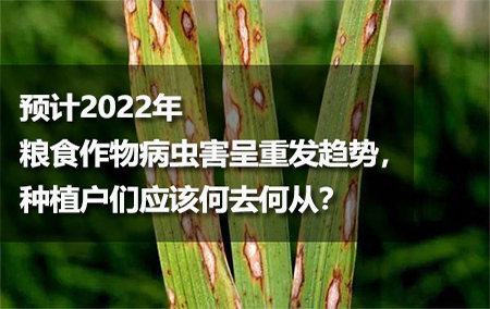 預(yù)計(jì)2022年糧食作物病蟲害呈重發(fā)趨勢(shì)，種植戶們應(yīng)該何去何從？