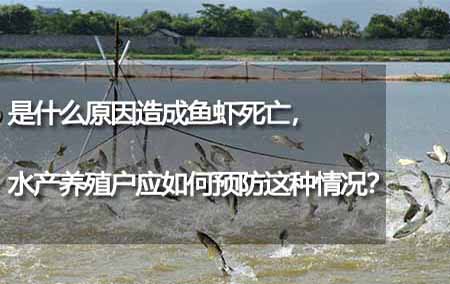 是什么原因造成魚蝦死亡，水產(chǎn)養(yǎng)殖戶應(yīng)如何預(yù)防這種情況？