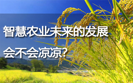 智慧農(nóng)業(yè)未來(lái)的發(fā)展會(huì)不會(huì)涼涼？