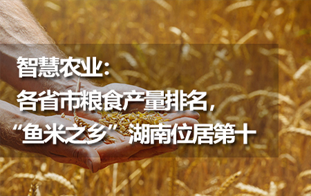 智慧農(nóng)業(yè)：各省市糧食產(chǎn)量排名，“魚米之鄉(xiāng)”湖南位居第十