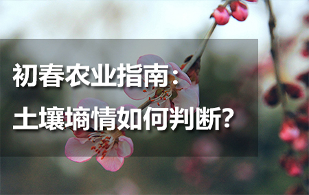 初春農(nóng)業(yè)指南：土壤墑情如何判斷？